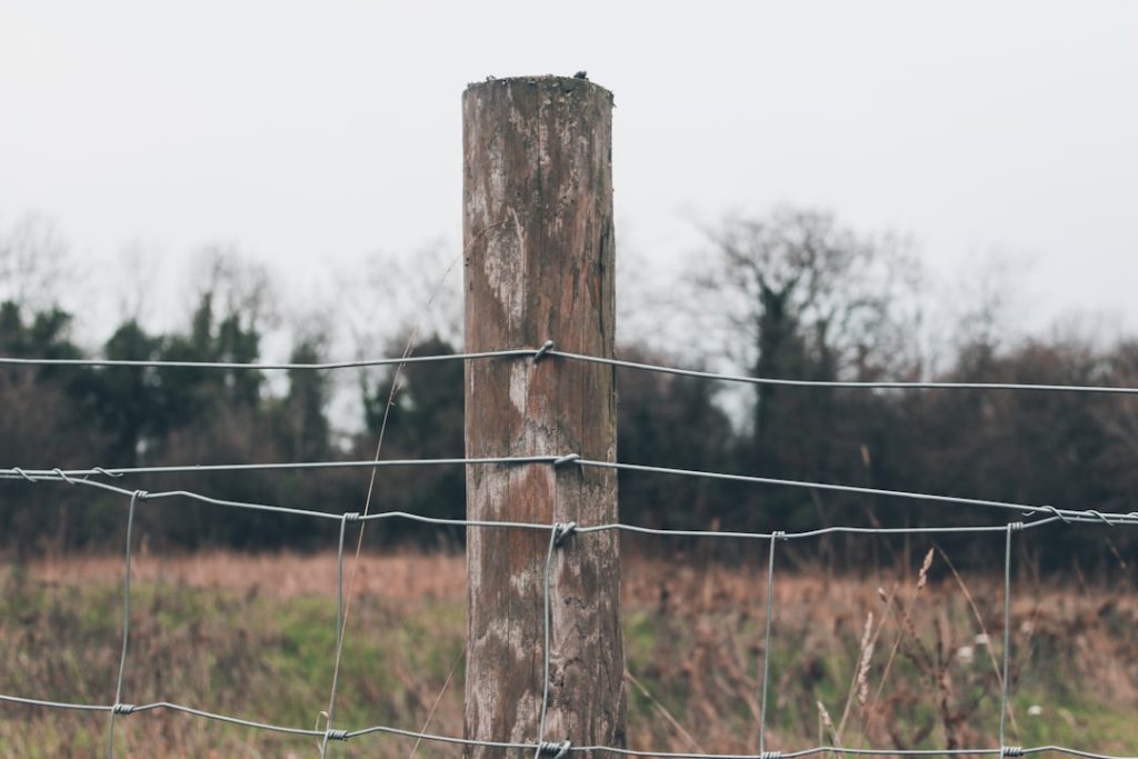 Photo Fence post