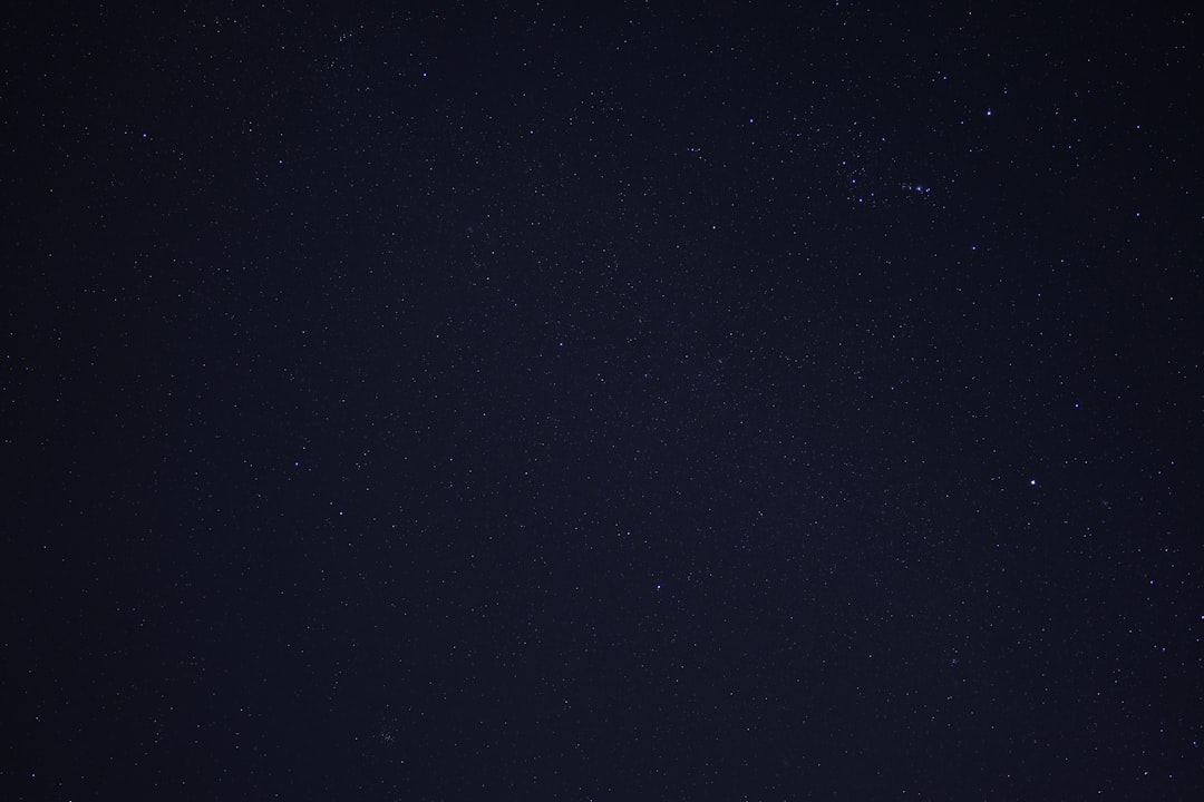 Photo Black and white cookies