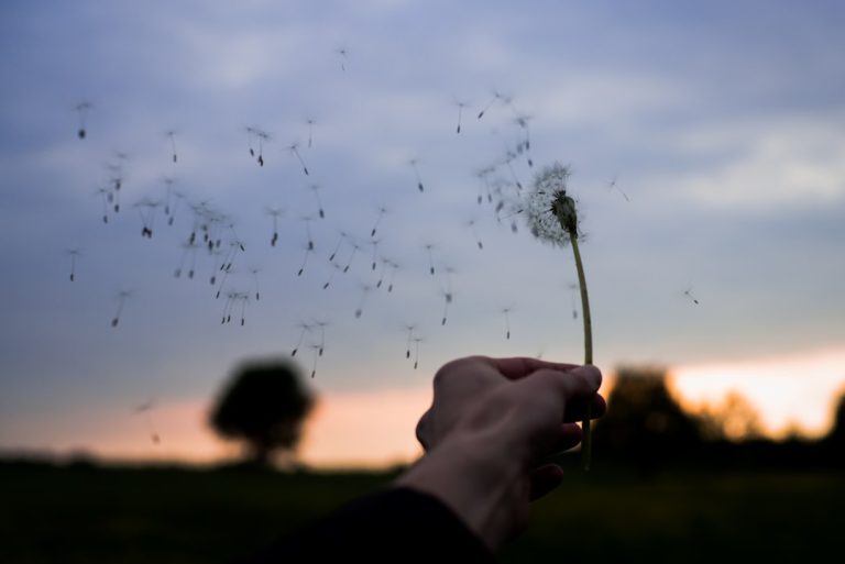 Photo Strong wind