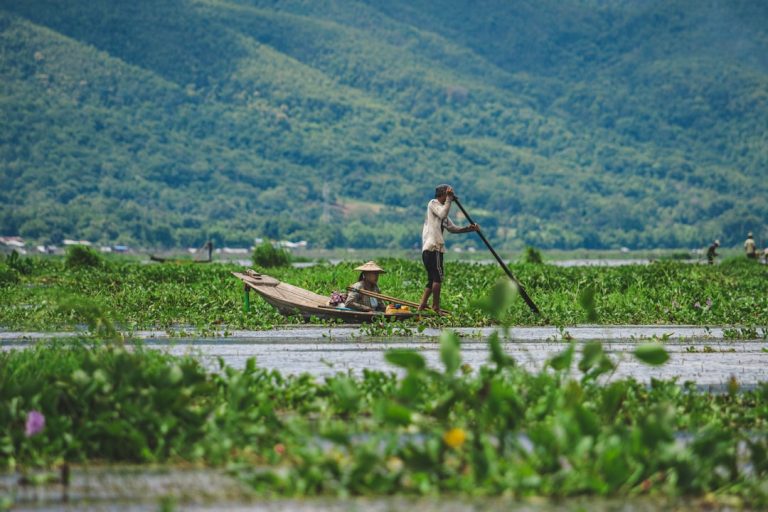 Photo Struggling farmer